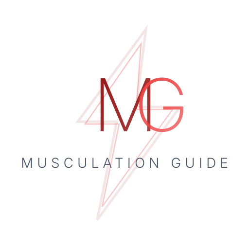 Musculation Guide - Entraînement, Nutrition et Programmes